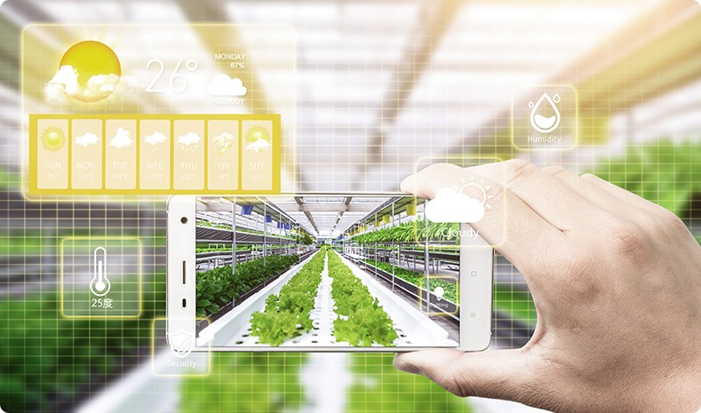 數(shù)字農(nóng)業(yè)平臺