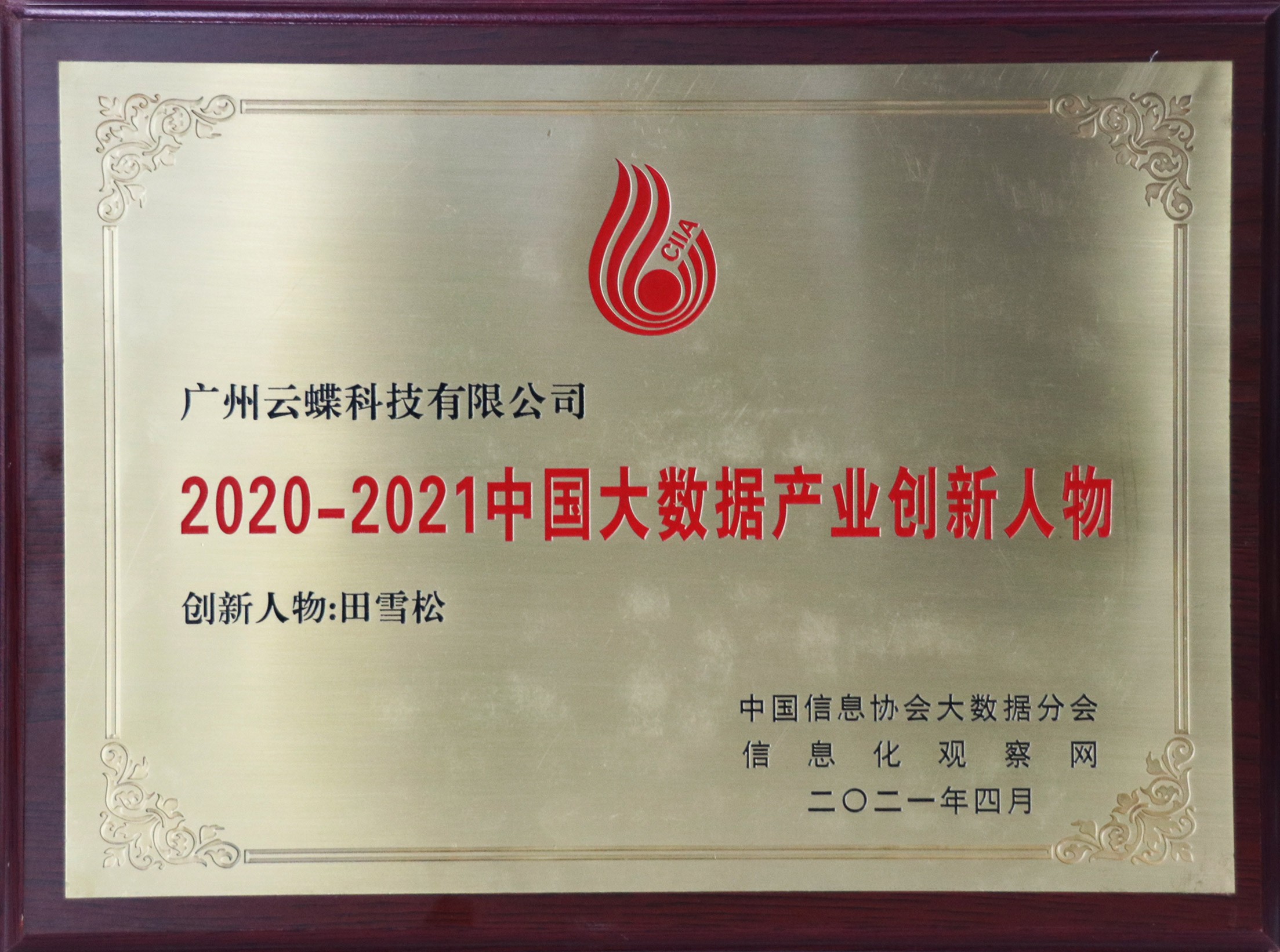 2020-2021中國(guó)大數(shù)據(jù)產(chǎn)業(yè)創(chuàng)新人物