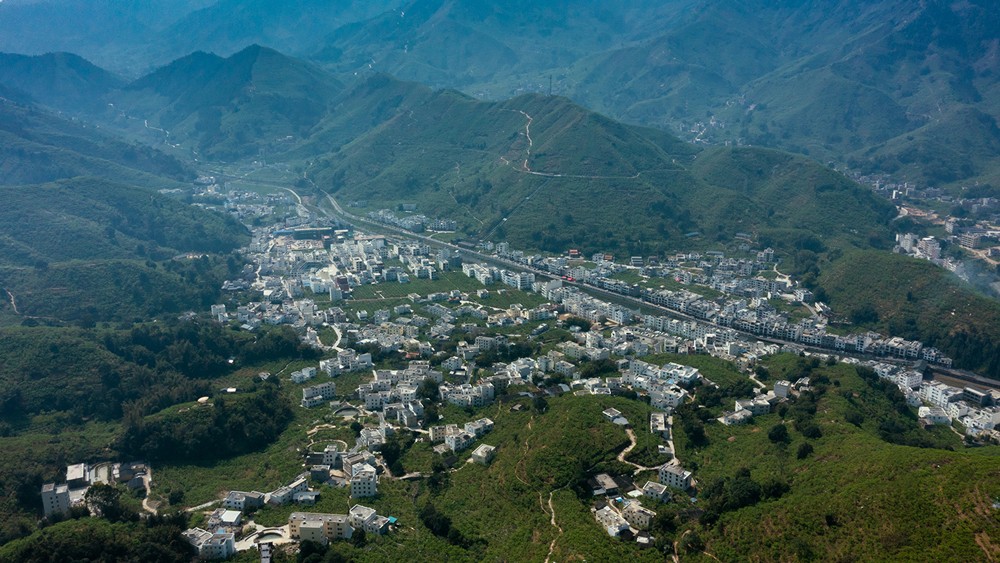 智慧果園沃，種出致富果，云蝶智慧果園落地信宜