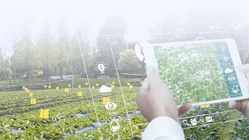 數(shù)創(chuàng)美好，云蝶答卷 | AI Inside——讓人工智能像蝴蝶飛過一樣無痕